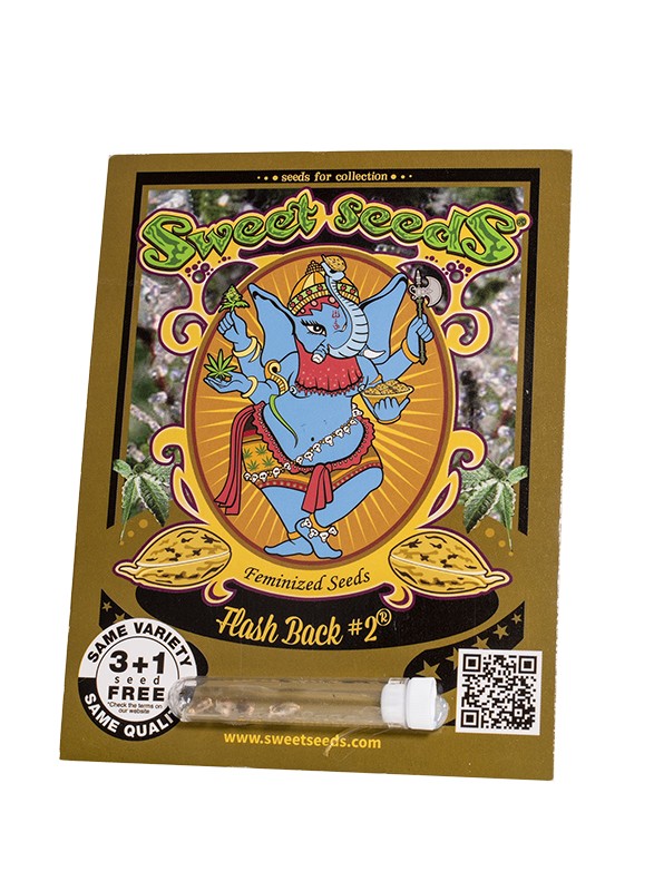 EN - Flash Back #2® 3+1