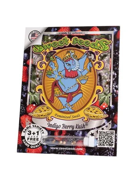 EN - Indigo Berry Kush® 3+1
