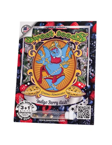 FR - Indigo Berry Kush® 3+1