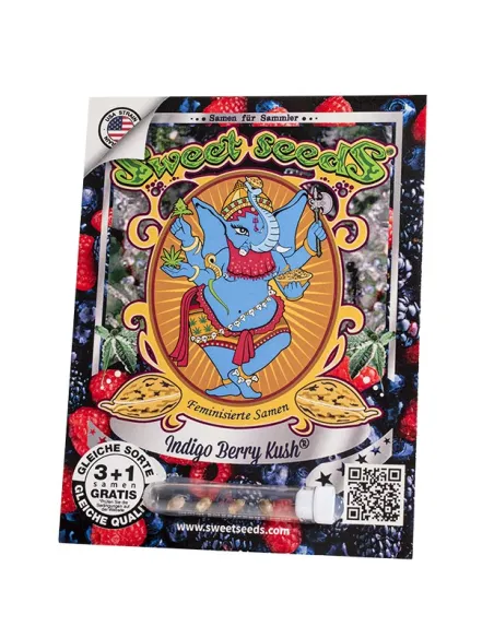DE - Indigo Berry Kush® 3+1