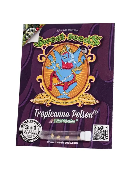 FR - Tropicanna Poison F1 Fast Version® 3+1