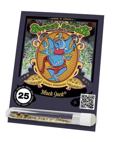 FR - Black Jack® 25