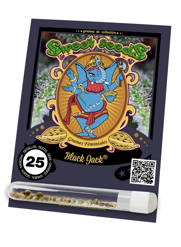 FR - Black Jack® 25