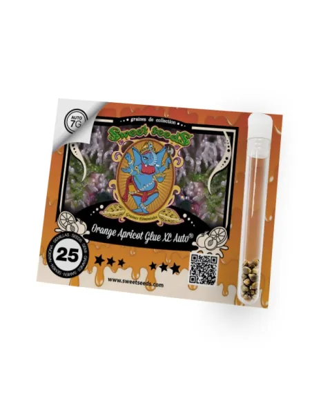 FR - Orange Apricot Glue XL Auto® 25