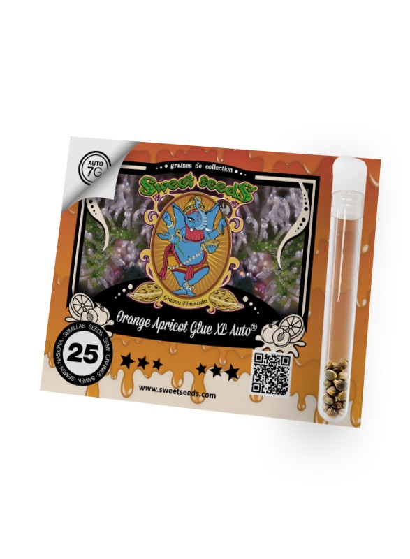 FR - Orange Apricot Glue XL Auto® 25